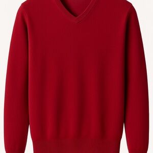 Turnbury Extra Fine Merino Wool V-neck Sweater Mens size large